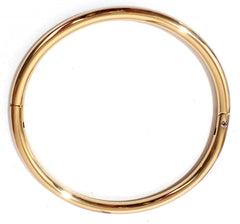 Titanium Gold over Stainless Steel  Eternity Collar