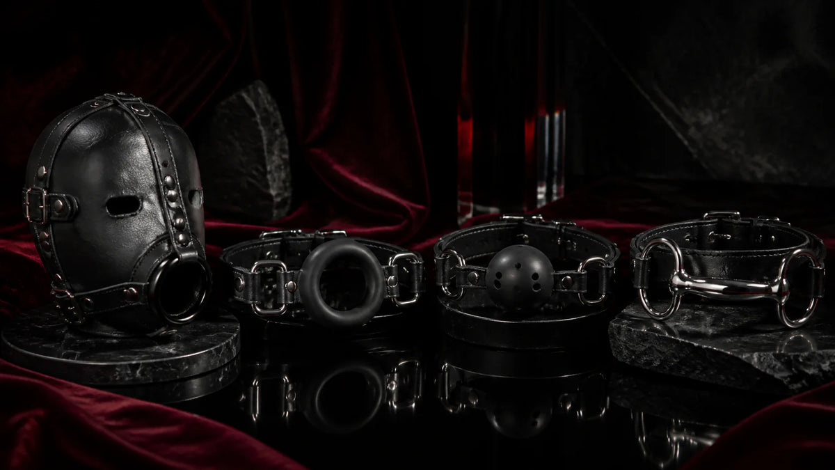 Black leather mask, silicone gag forms, and polished stainless hardware on velvet.