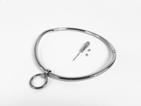 Polished Petite Curved Collar with Removable Ring | 6mm