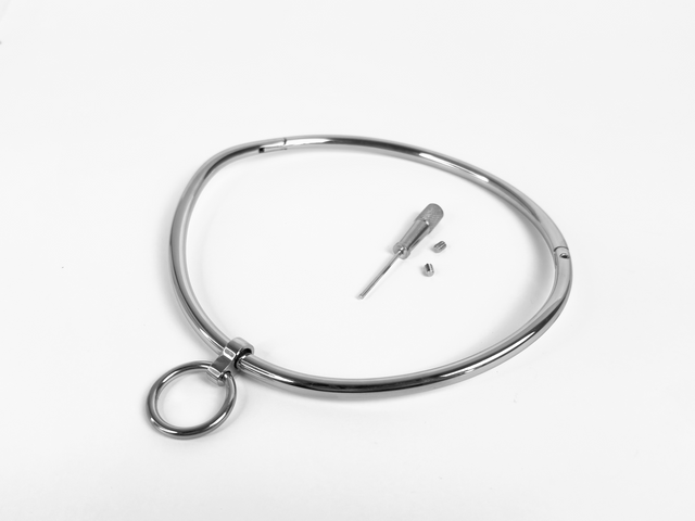 Polished Petite Curved Collar with Removable Ring | 6mm