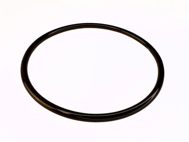 Gloss Black Locking Eternity Collar | 6mm