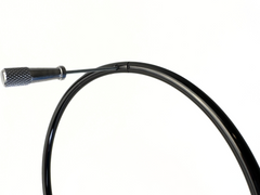 6mm Gloss Black Eternity Day Collar
