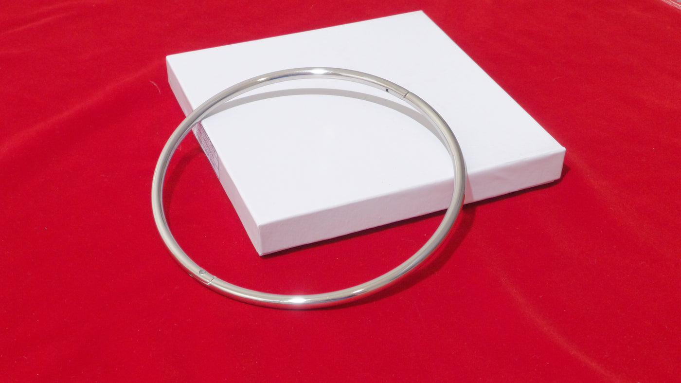 Polished Stainless Steel Petite Locking Eternity Collar