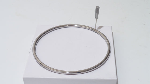 Polished Stainless Steel Petite Locking Eternity Collar
