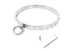 White Crystal Stainless Collar with Fixed Ring