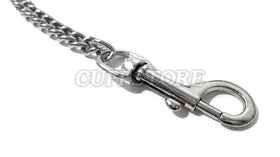 Stainless Steel Chain Leash with Leather Handle
