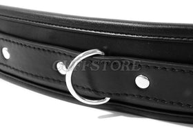 Black Padded Collar with Red Lining & Leash