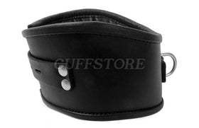 Padded Leather Locking Posture Collar