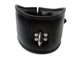 Padded Leather O-Ring Posture Collar