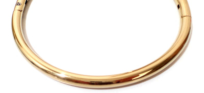 Titanium Gold over Stainless Steel  Eternity Collar