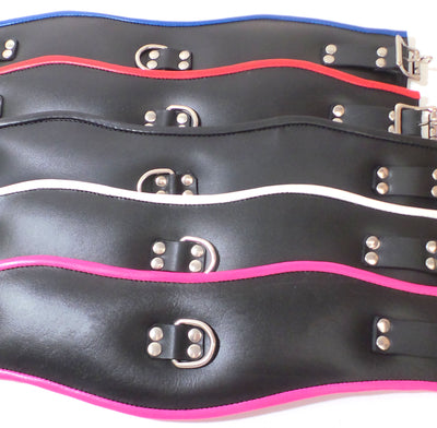 Deluxe Padded Black Leather Posture Collar - Multiple Color Options