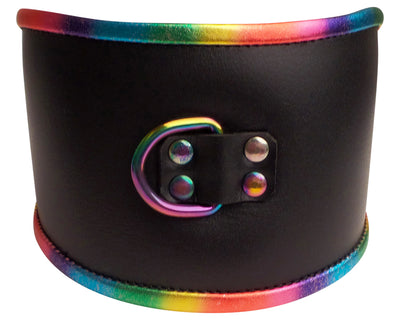 Deluxe Padded Black Leather Posture Collar - Multiple Color Options