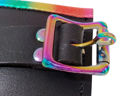 Rainbow Padded Leather Lockable Posture Collar