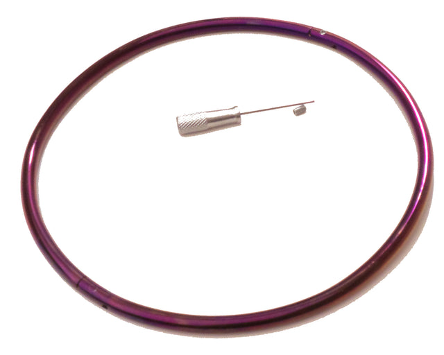 Purple Petite Locking Eternity Collar