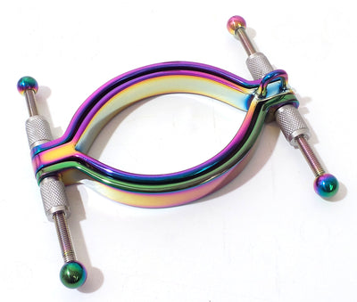 Rainbow Pussy Clamp Labia Clamp with Ring Stainless Steel