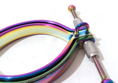 Rainbow Pussy Clamp Labia Clamp with Ring Stainless Steel