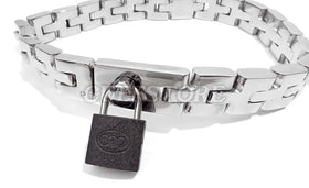 Watch-Band Link Collar with Padlock