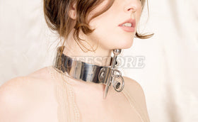 Stainless Posture Collar with Raising Bar