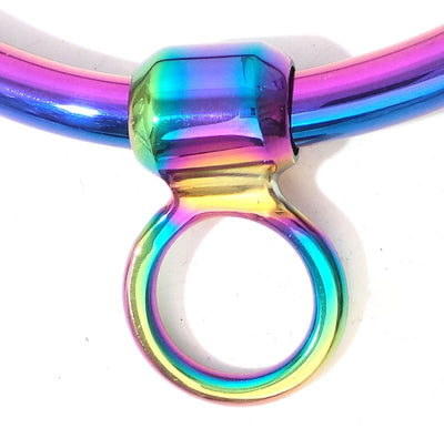 Wide Rainbow Removable Ring for Collars Cuffs and Legirons