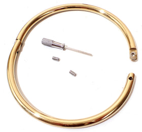 Gold Titanium-Finish Eternity Collar