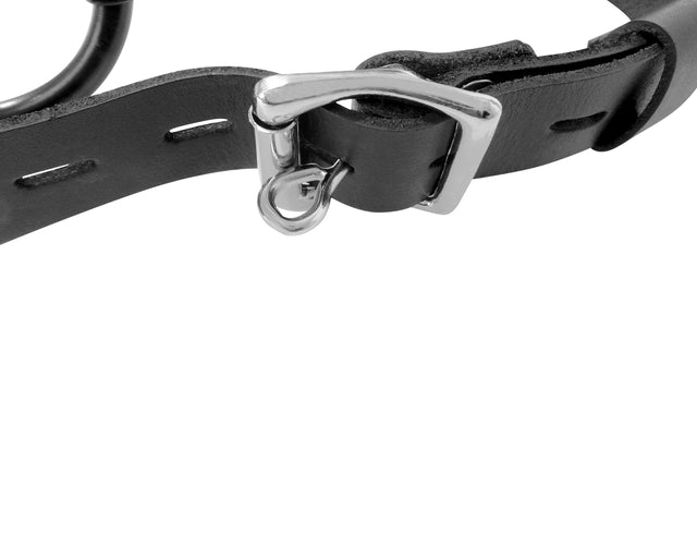 Lockable Leather Open-Mouth Ring Gag