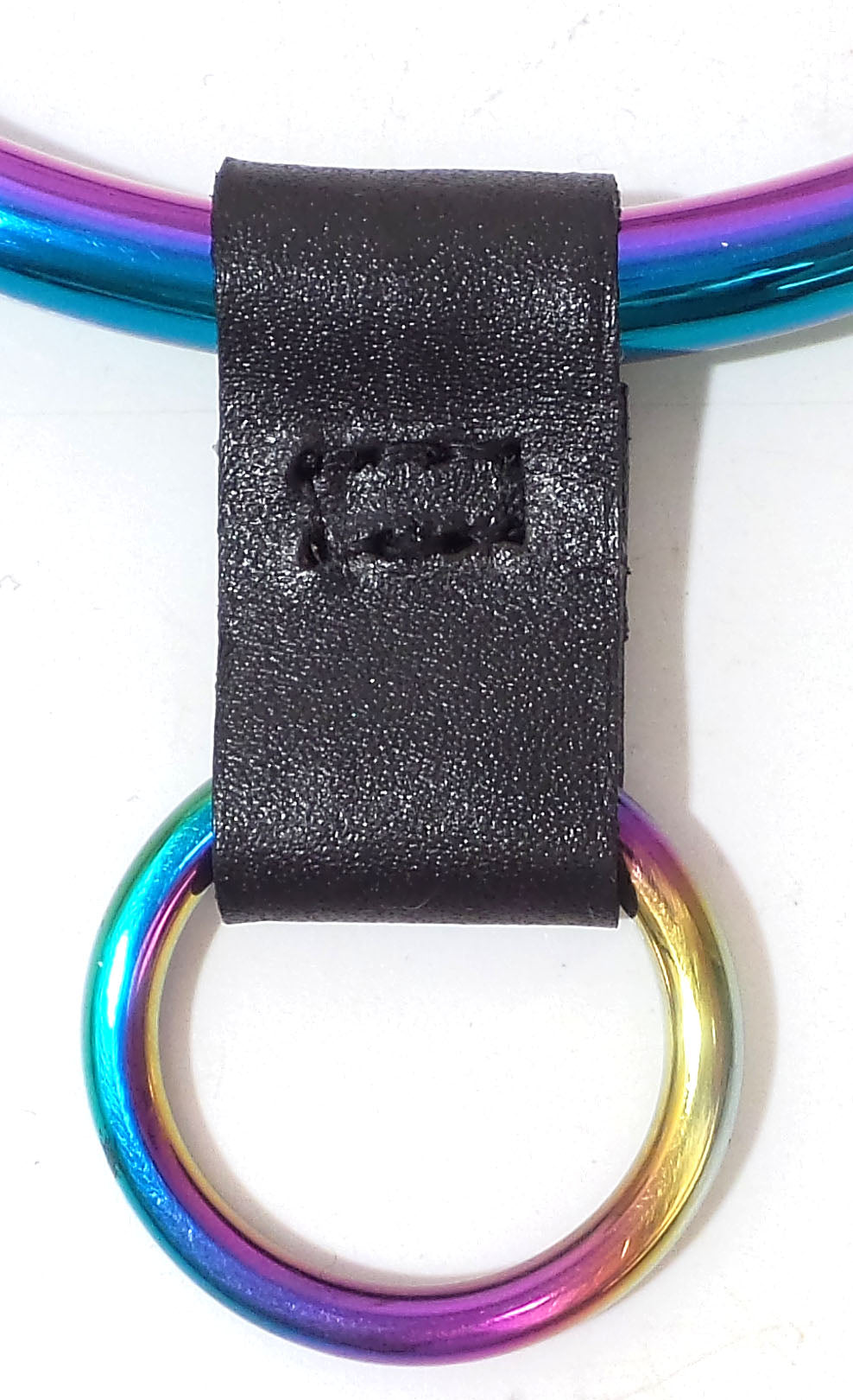 Leather Collar Slide On O Ring Pendant for Metal Collars Up to 8mm With Larger  Rainbow Ring
