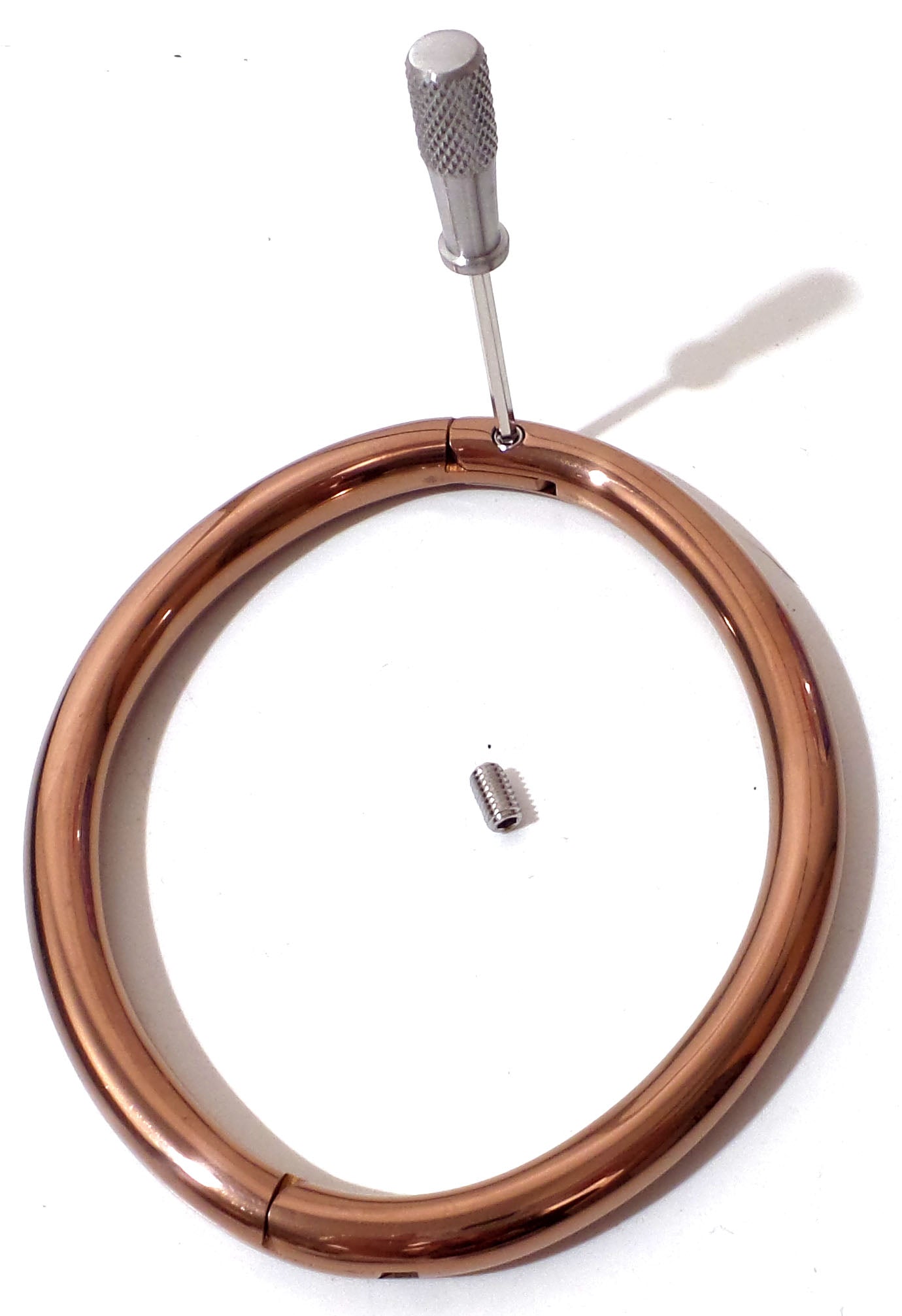 Rose Gold Titanium Over Stainless Elliptical Eternity Locking