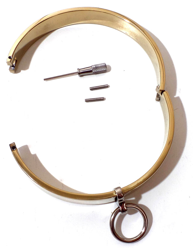 Gold Flat Locking Slave Collar with Removable O-Ring