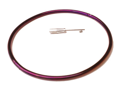 6mm Petite Thin Purple Titanium Over Stainless Eternity Collar Multiple Sizes Available