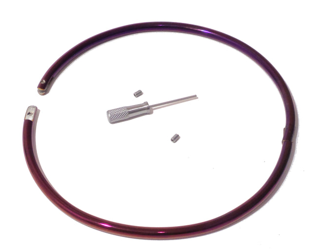 Purple Petite Locking Eternity Collar